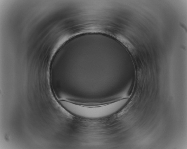 X0000097481334200803071708