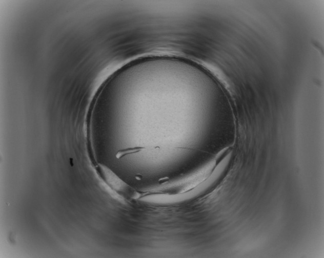 X0000097481335200803071708