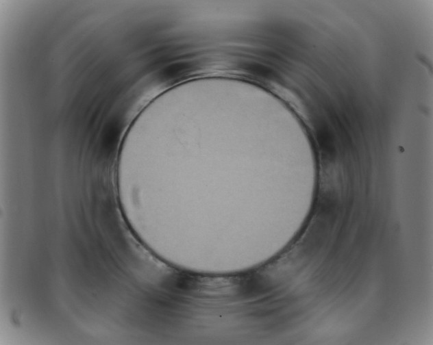 X0000097481338200803071708