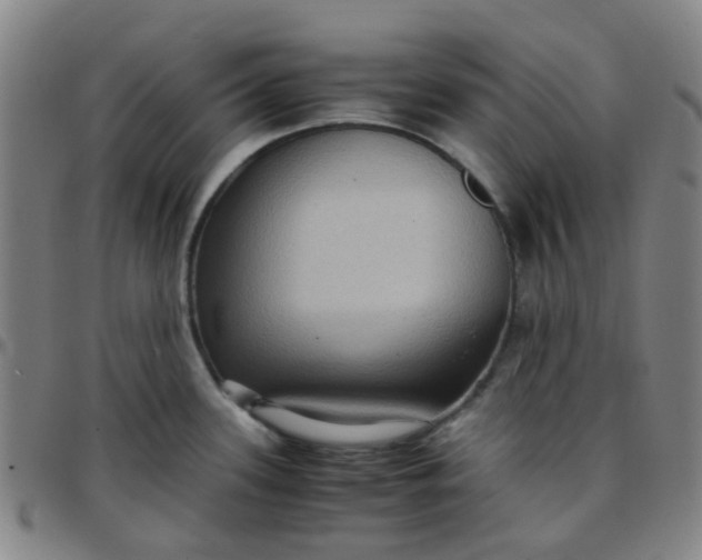 X0000097481339200803071708