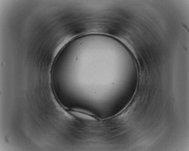 X0000097481341200803071708