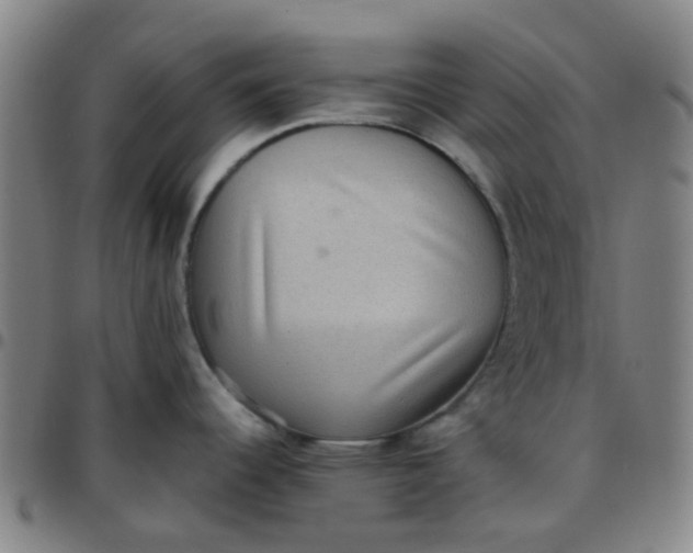 X0000097481344200803071708