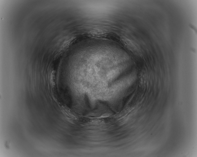 X0000097481346200803071707