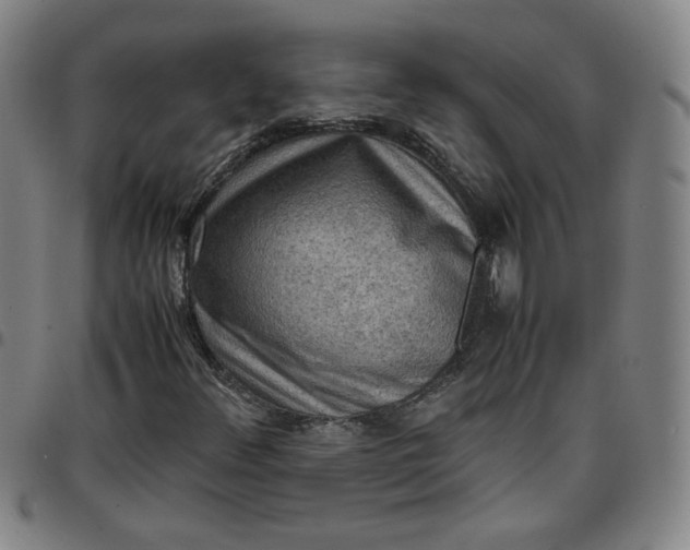 X0000097481348200803071707