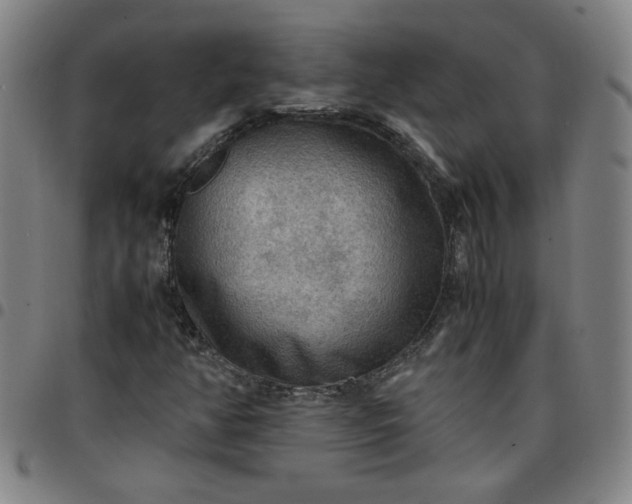 X0000097481350200803071707