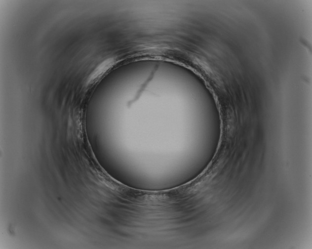 X0000097481354200803071707