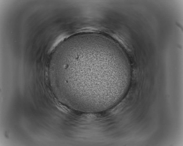 X0000097481355200803071707