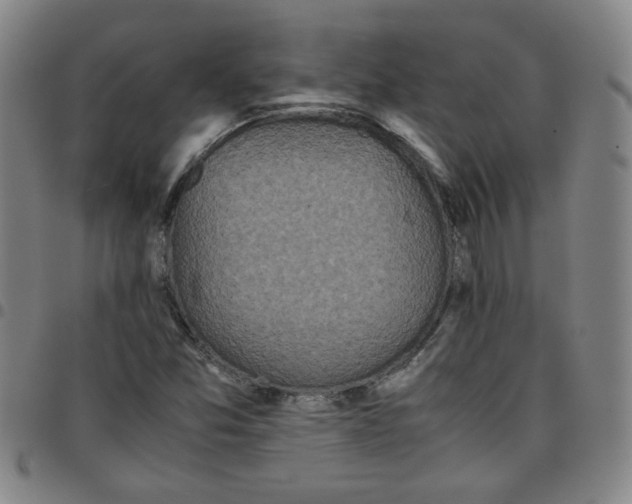 X0000097481357200803071707