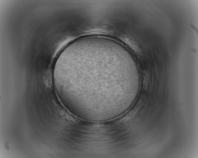 X0000097481358200803071707