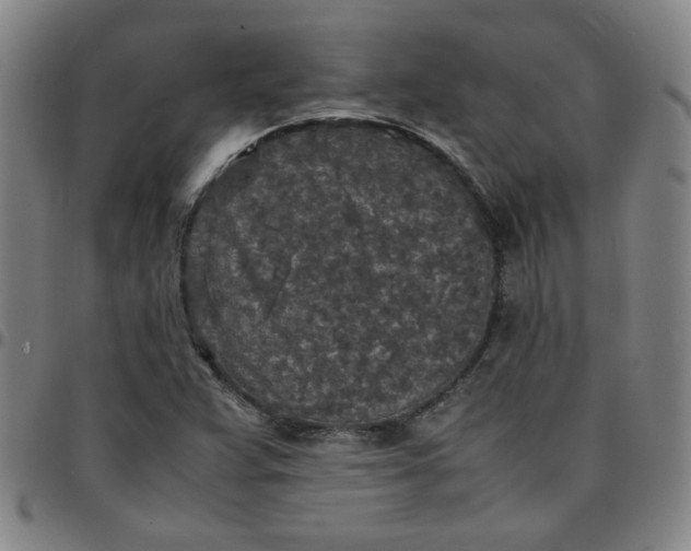 X0000097481359200803071707