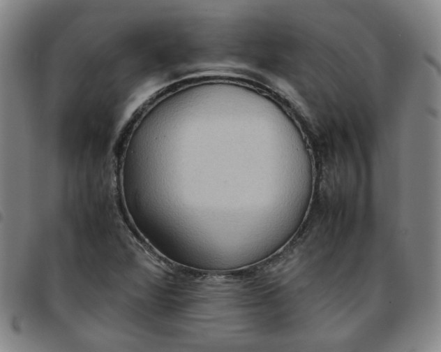 X0000097481360200803071707