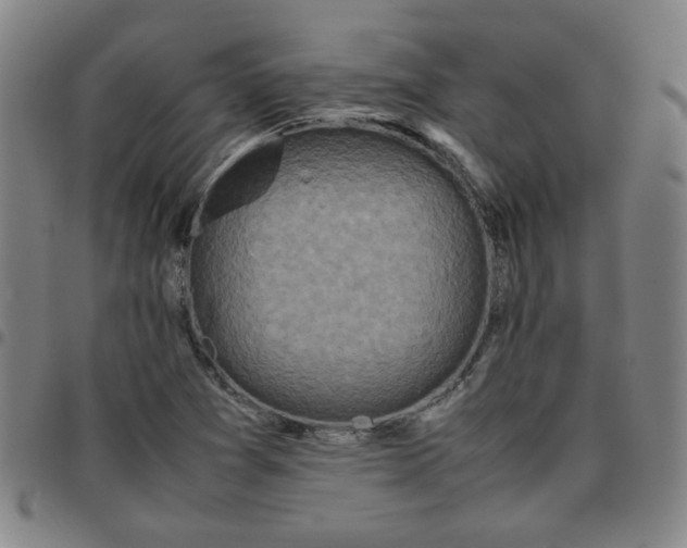 X0000097481361200803071707