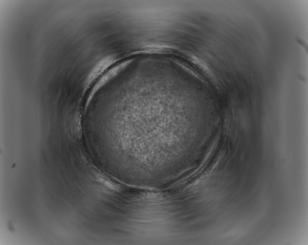 X0000097481362200803071707