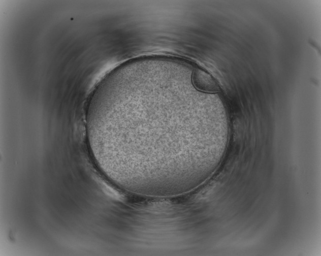 X0000097481363200803071707