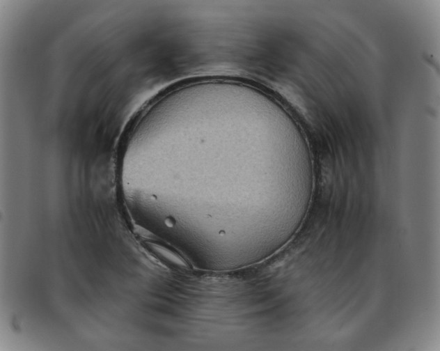 X0000097481364200803071707