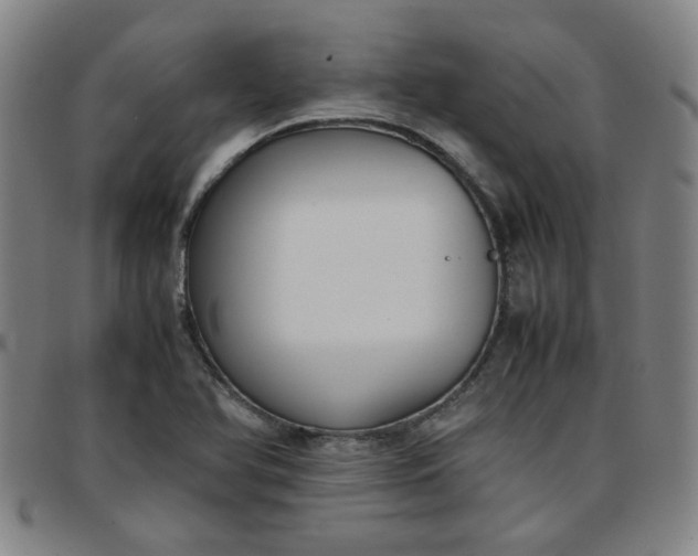 X0000097481366200803071707