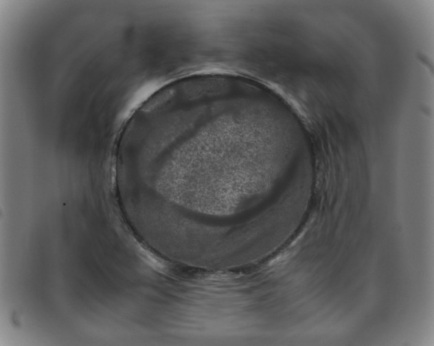 X0000097481367200803071707