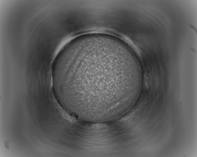 X0000097481368200803071707