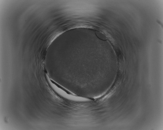 X0000097481369200803071707