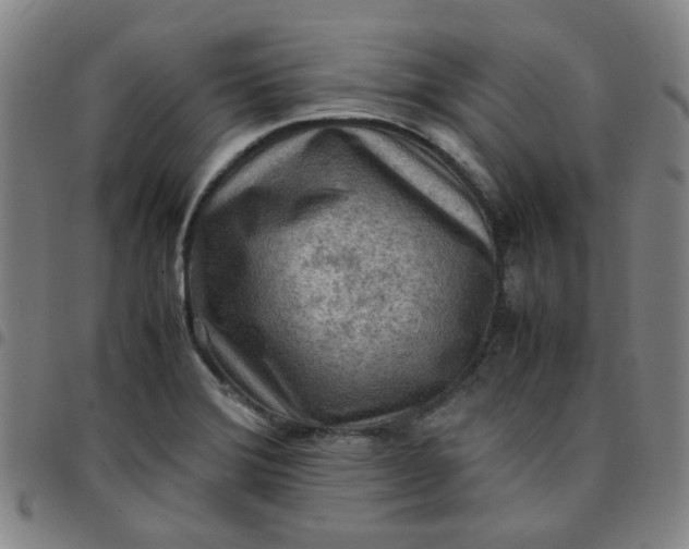 X0000097481372200803071707