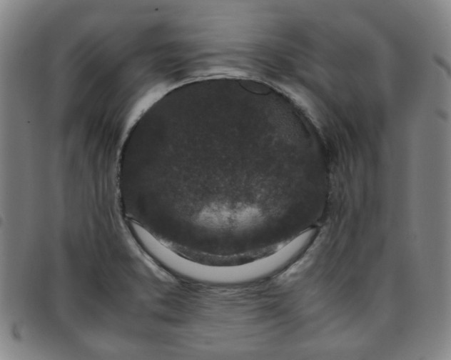 X0000097481373200803071707