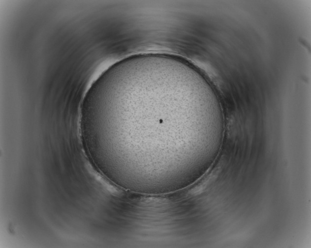 X0000097481374200803071707