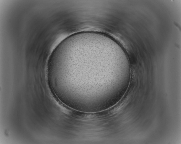 X0000097481375200803071707