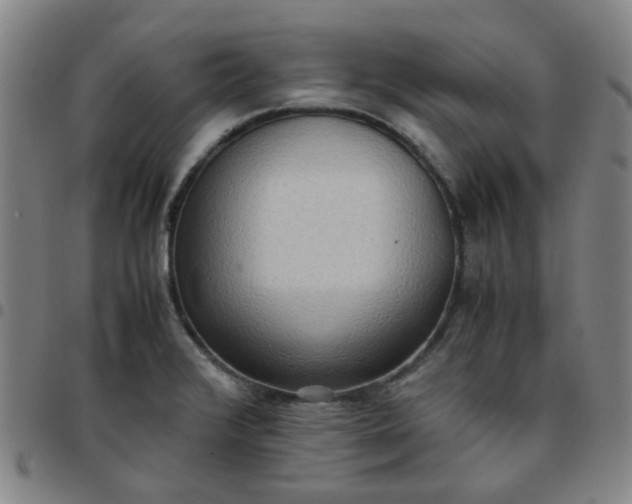 X0000097481376200803071707