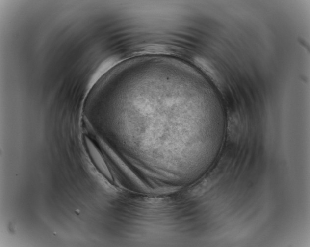 X0000097481378200803071707