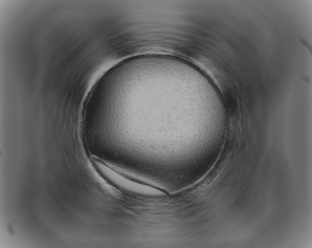 X0000097481379200803071707