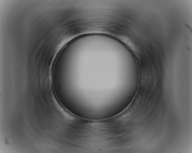 X0000097481380200803071707