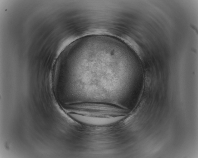 X0000097481382200803071707