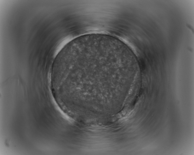 X0000097481383200803071707