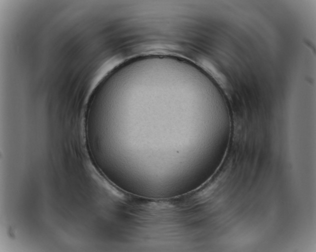 X0000097481384200803071707