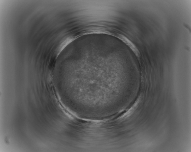 X0000097481385200803071707