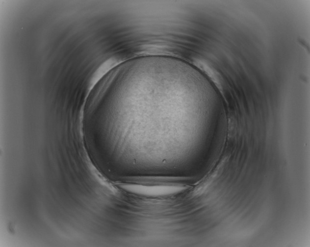 X0000097481386200803071707