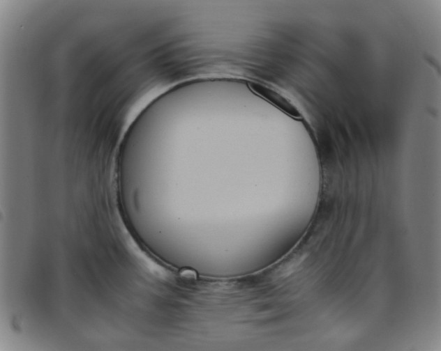 X0000097481387200803071706