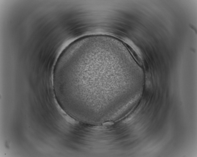 X0000097481388200803071706