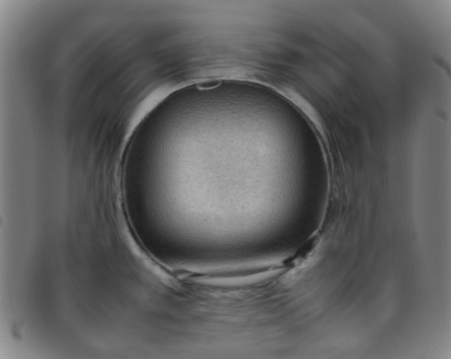 X0000097481389200803071706