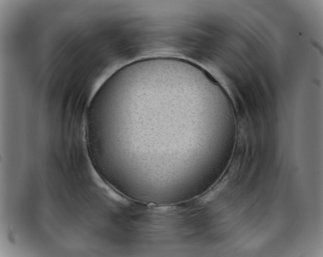 X0000097481390200803071706