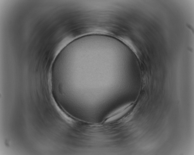 X0000097481391200803071706