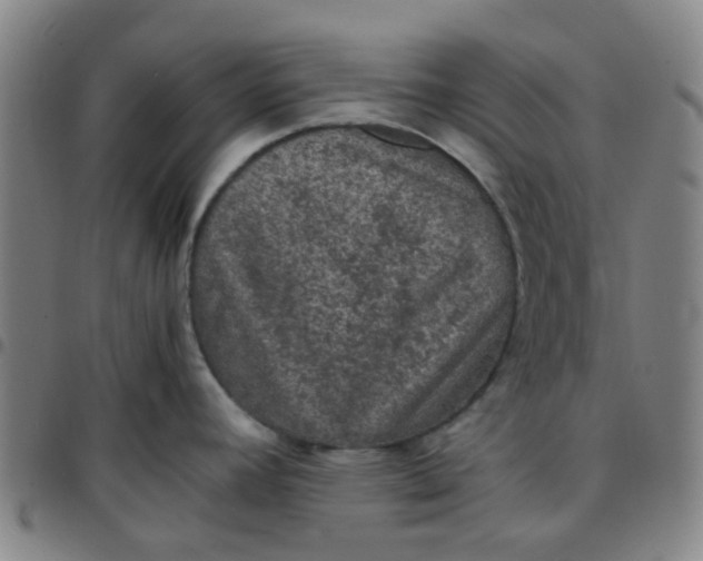 X0000097481392200803071706