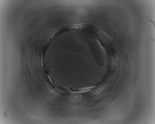 X0000097481394200803071706