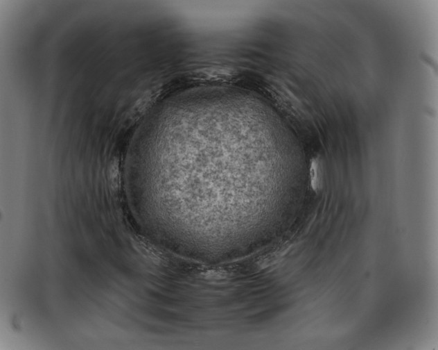 X0000097481395200803071706