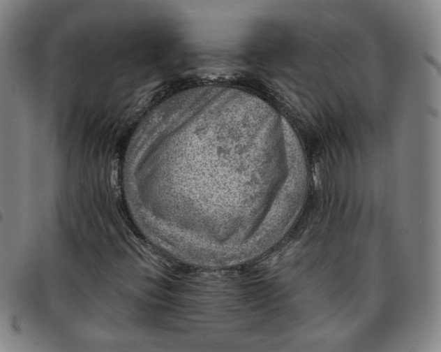 X0000097481396200803071706