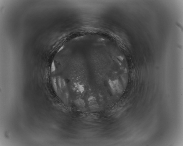 X0000097481397200803071706