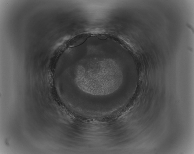 X0000097481398200803071706