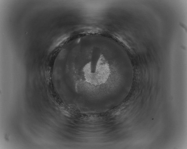 X0000097481399200803071706