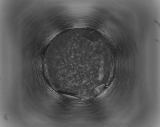 X0000097481401200803071706