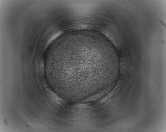 X0000097481402200803071706